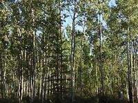DSCN2921