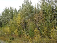 DSCN3085