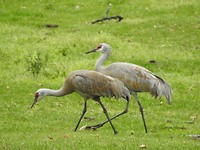 DSCN3178
