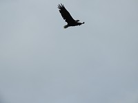 DSCN3979