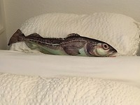 IMG_2190