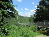 IMG_0753
