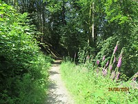 IMG_0761