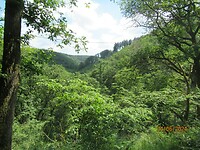 IMG_0765