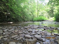 IMG_0766