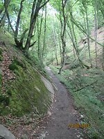 IMG_0767