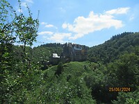 IMG_0769