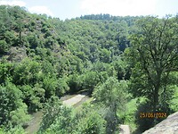 IMG_0772