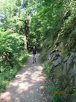 IMG_0790