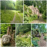 PhotoEditor_202664202248548