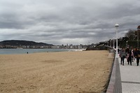 IMG_8355