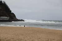 IMG_8359
