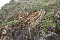 IMG_8367