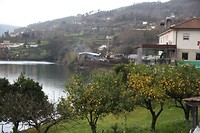 IMG_8406