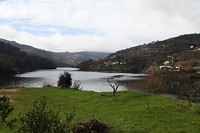 IMG_8408