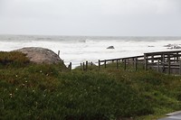 CampingSalgueros  Via Nova de Gaia