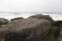 IMG_8419