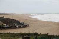 IMG_8421