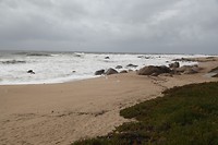 IMG_8422