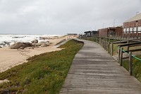 IMG_8423