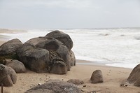 IMG_8425
