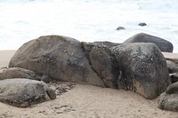 IMG_8427