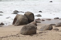 IMG_8428