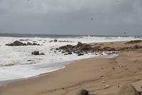 IMG_8429