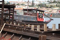IMG_8572