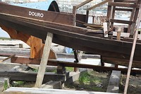 IMG_8573
