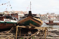 IMG_8574