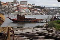 IMG_8575