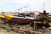 IMG_8576