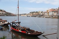 IMG_8577