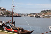 IMG_8582