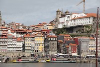 IMG_8584