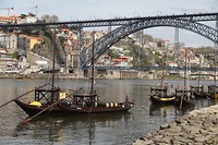 IMG_8585