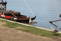 IMG_8587
