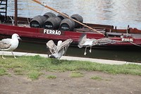IMG_8588