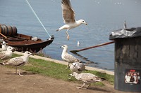 IMG_8589