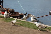 IMG_8590