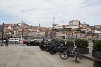 IMG_8591