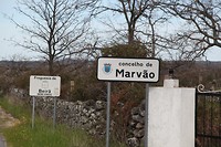 IMG_8648