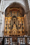 IMG_8708