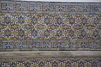 IMG_8736