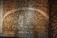 IMG_8737