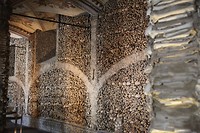 IMG_8739