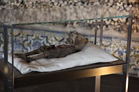 IMG_8740