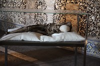 IMG_8741