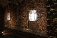 IMG_8747